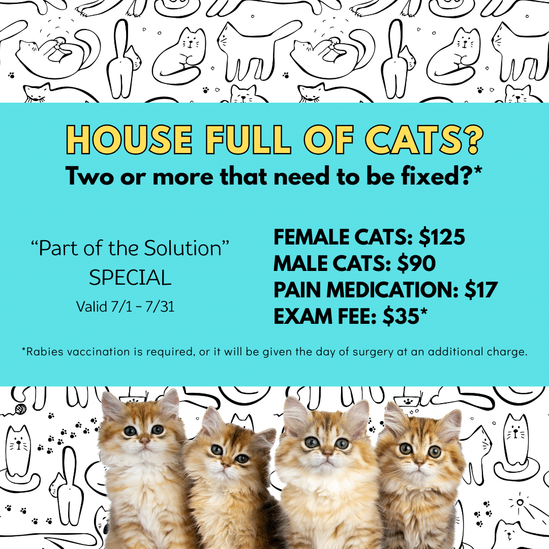 Refer a fur-iend graphic