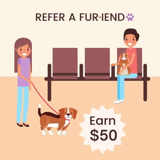 Refer a fur-iend graphic